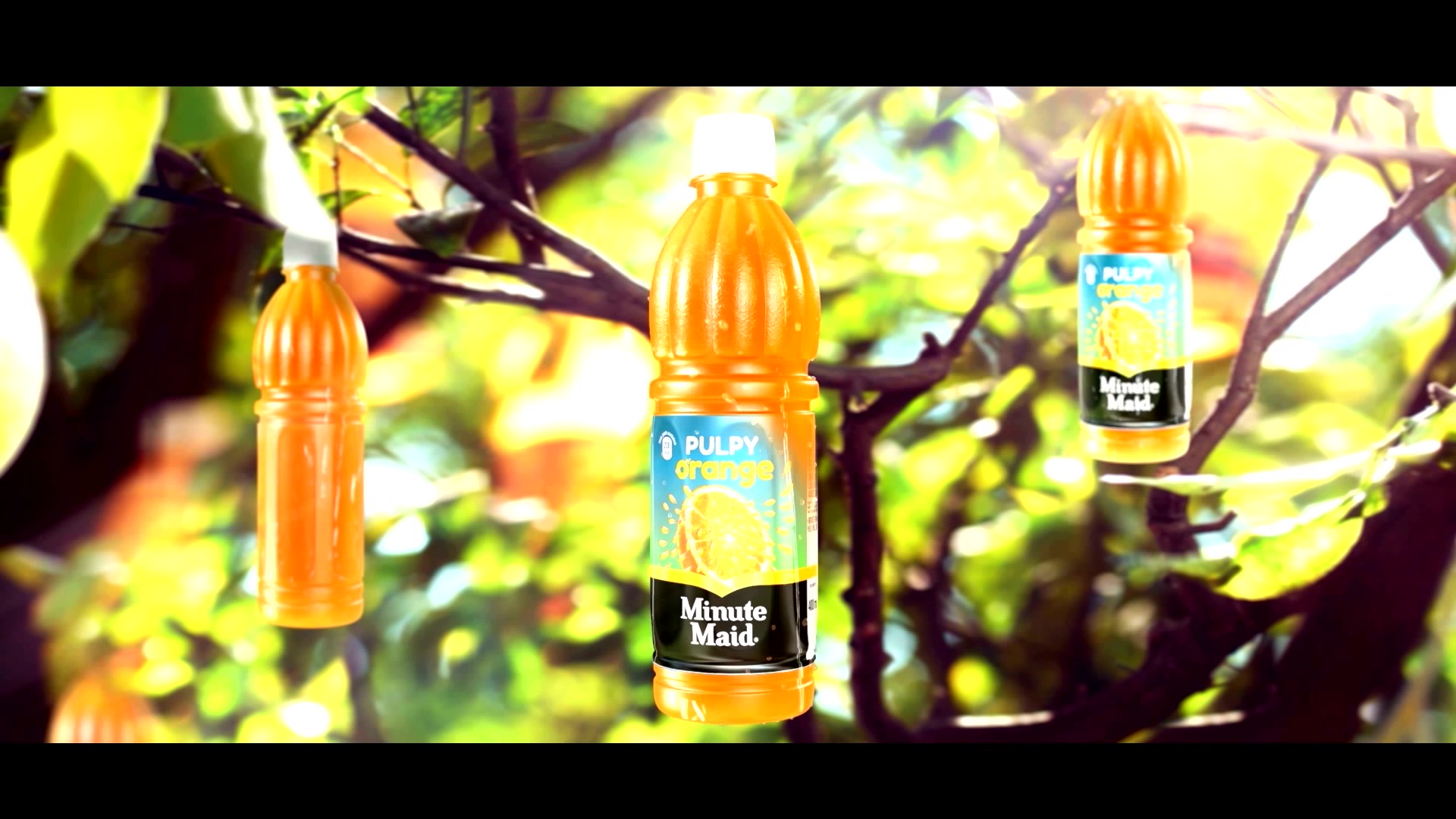 Pulpy Orange Juice. Minute Maid