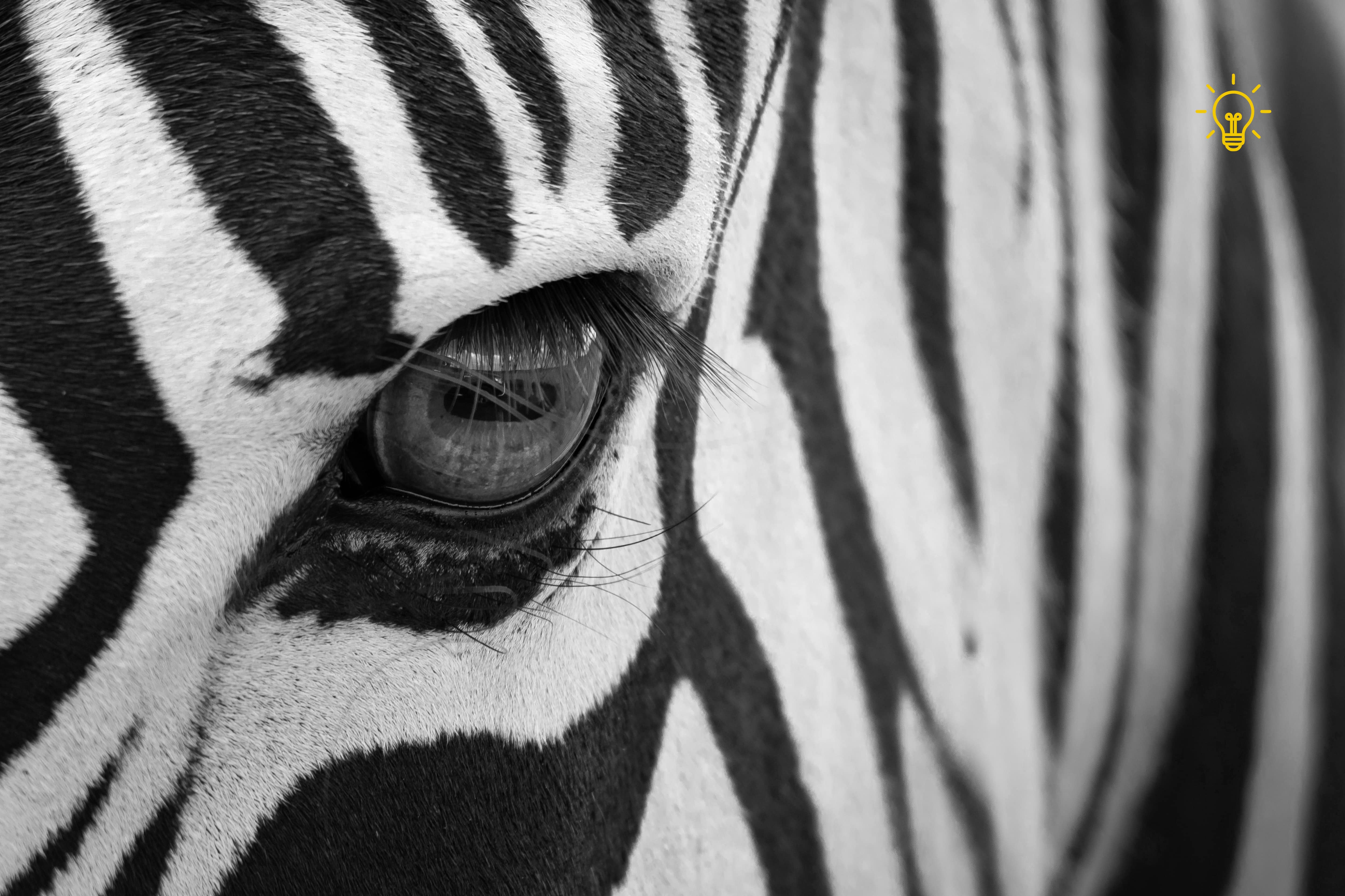 Is creative work really as subjective as you think it is?