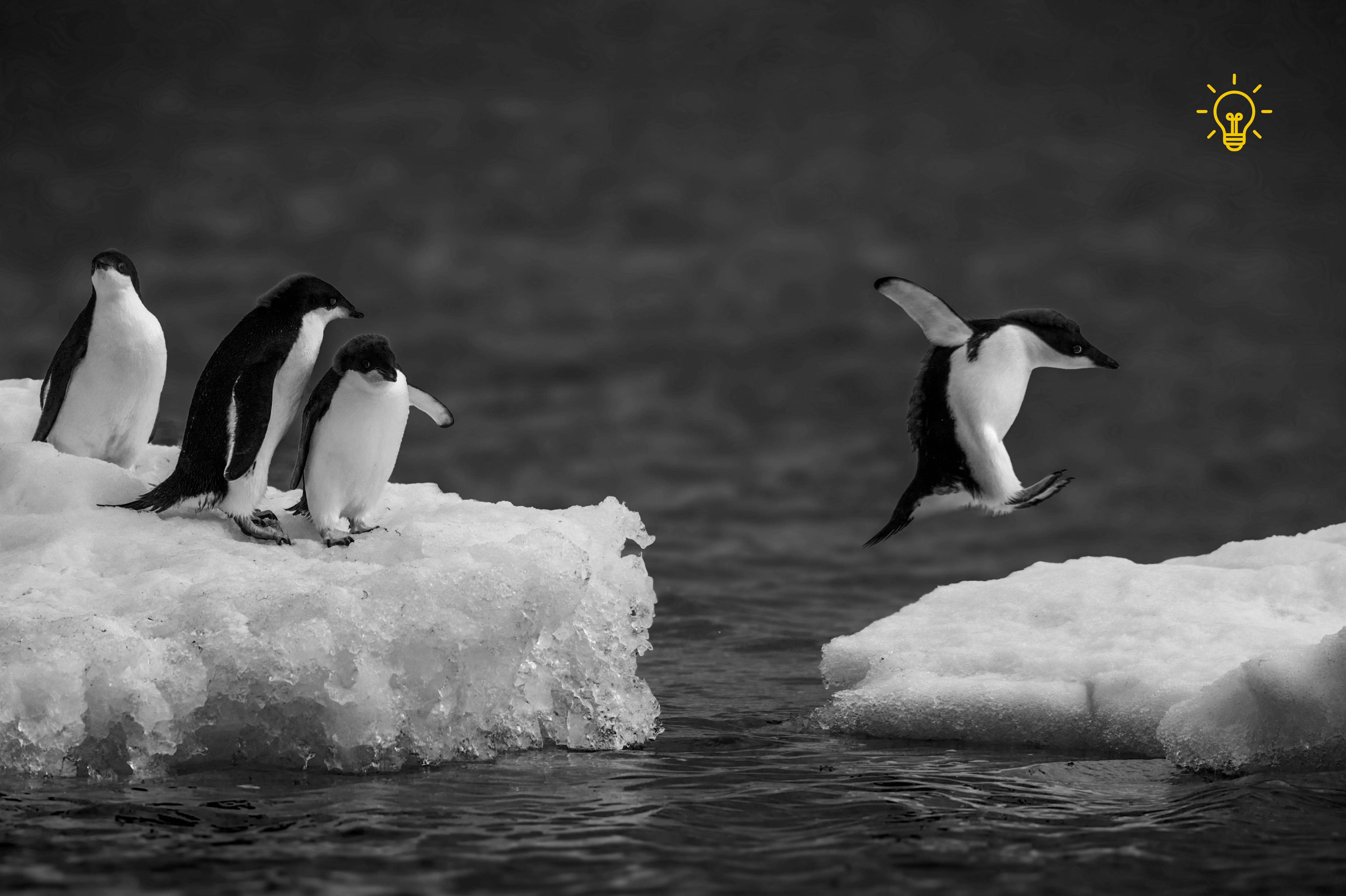 Switching from Agency to In-House: Biggest Challenges and Lessons Learned