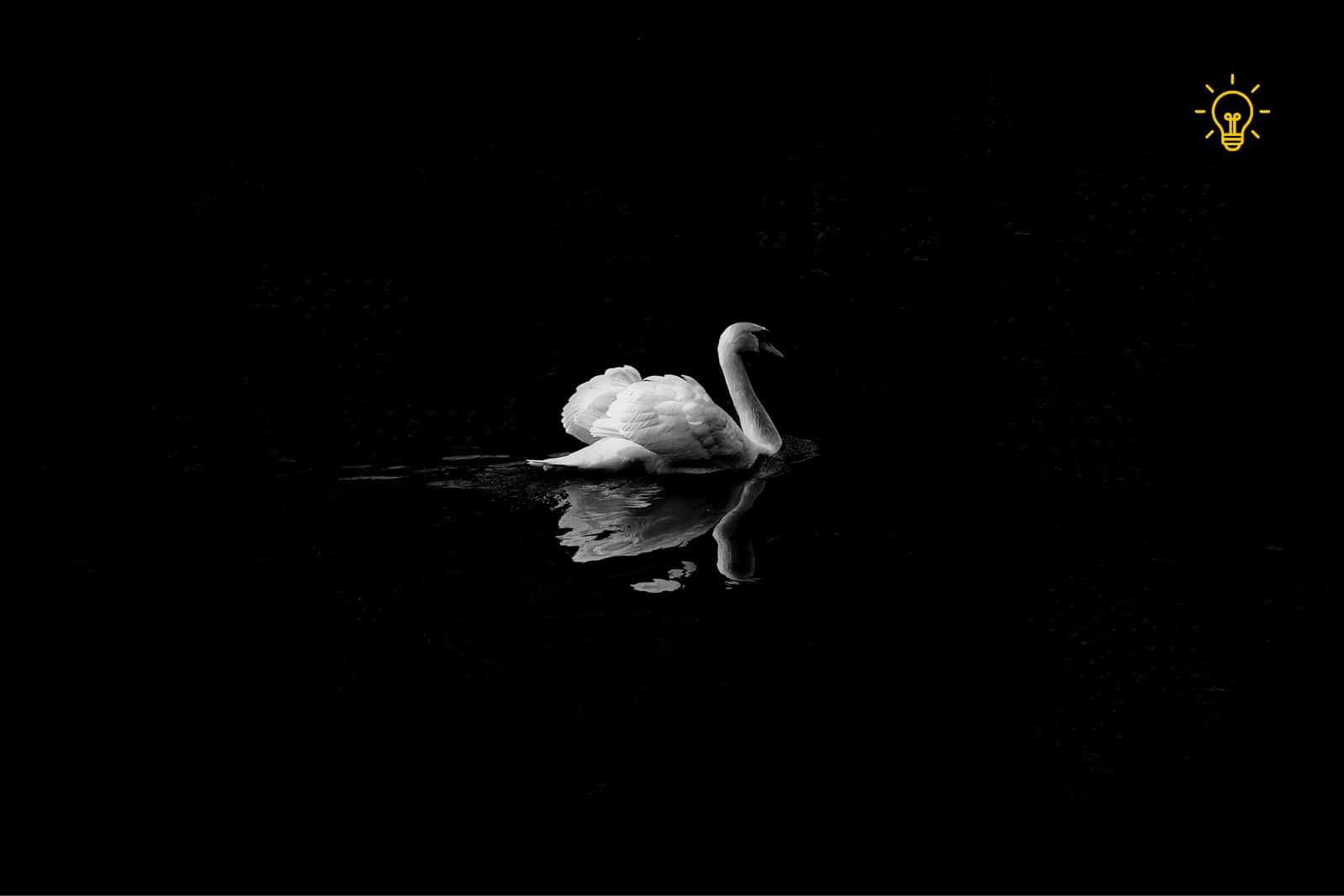 80% will stagnate in their creative careers: the top three skills you need to be part of the 20%